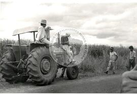 Grupo Projeto Liberdade-Despejo Fazenda Pandeny (São Paulo (Estado), [sem data]) [fotografia] / Fotógrafo(a) : Douglas Mansur. -- Ref.: BR-SPMST_MST-SN-CIN_AMP_001791-012950-VPP.