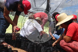 [Título n/d] : lote nº 002, pasta nº 000015, doc. nº 000027 [imagem] / Fotógrafo(a) : [autoria n/d].