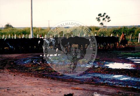 Original Digitaal object not accessible