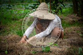 [Título n/d] : lote nº 002, pasta nº 001317, doc. nº 000044 [imagem] / Fotógrafo(a) : [autoria n/d].