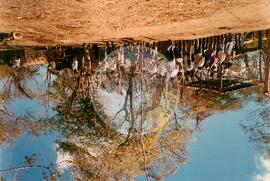 Ocupação no Sertão (Pernambuco, 1998) [fotografia] / Fotógrafo(a) : Milton Levy. -- Ref.: BR-SPMST_MST-SN-CIN_AMP_001885-014192-OCU.