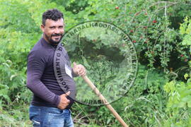 [Título n/d] : lote nº 002, pasta nº 000014, doc. nº 000250 [imagem] / Fotógrafo(a) : [autoria n/d].