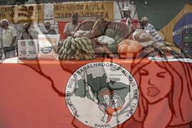 [Título n/d] : lote nº 002, pasta nº 001351, doc. nº 000359 [imagem] / Fotógrafo(a) : [autoria n/d].