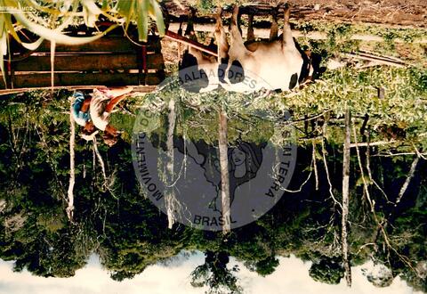 Original Objeto digital not accessible