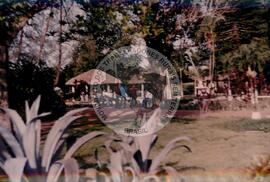 Delegação do MST em Cuba – 40º Aniversário da ANAP (Cuba, 15 mai. 1999) [fotografia] / Fotógrafo(a) : Nilton Viana. -- Ref.: BR-SPMST_MST-SN-CIN_AMP_001043-008407-RIT.