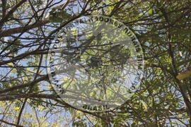 [Título n/d] : lote nº 002, pasta nº 000008, doc. nº 000014 [imagem] / Fotógrafo(a) : [autoria n/d].