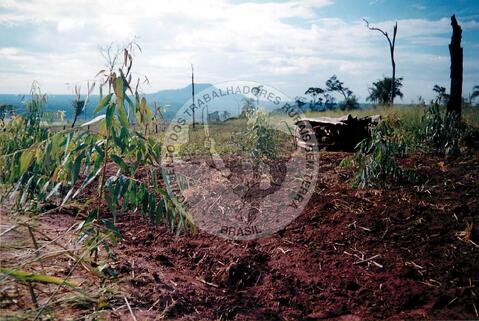 Original Digitaal object not accessible