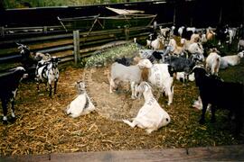 Viagem de Luiz Roberto para Espanha (Ilhas Canárias (Espanha), 31 jan. 2001) [fotografia] / Fotógrafo(a) : Arquivo MST. -- Ref.: BR-SPMST_MST-SN-CIN_AMP_001119-009232-RIT.