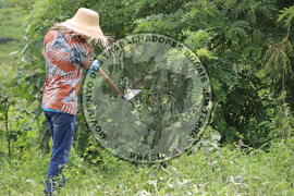 [Título n/d] : lote nº 002, pasta nº 000014, doc. nº 000226 [imagem] / Fotógrafo(a) : [autoria n/d].