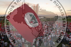 [Título n/d] : lote nº 002, pasta nº 000044, doc. nº 000240 [imagem] / Fotógrafo(a) : [autoria n/d].