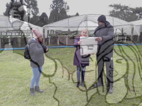 Original Objeto digital not accessible