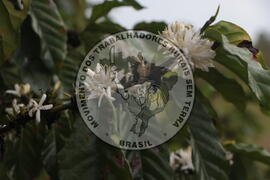 [Título n/d] : lote nº 002, pasta nº 001313, doc. nº 000056 [imagem] / Fotógrafo(a) : [autoria n/d].