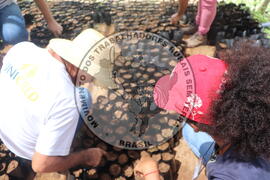 [Título n/d] : lote nº 002, pasta nº 000015, doc. nº 000018 [imagem] / Fotógrafo(a) : [autoria n/d].