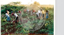 Tribunal Internacional dos Crimes do Latifúndio e da Política Governamental de Violação dos Direitos Humanos (Curitiba-PR, 02 mai. 2001) [fotografia] / Fotógrafo(a) : Douglas Mansur. -- Ref.: BR-SPMST_MST-SN-CIN_AMP_000135-001011-ACS.