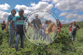 [Título n/d] : lote nº 002, pasta nº 001314, doc. nº 000001 [imagem] / Fotógrafo(a) : [autoria n/d].