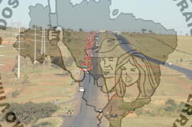 [Título n/d] : lote nº 002, pasta nº 000045, doc. nº 000294 [imagem] / Fotógrafo(a) : [autoria n/d].