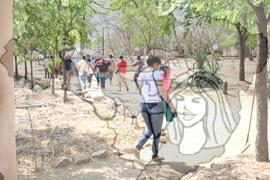 [Título n/d] : lote nº 002, pasta nº 001312, doc. nº 000313 [imagem] / Fotógrafo(a) : [autoria n/d].