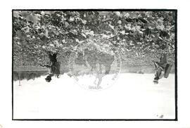 Cooperativas (Ceará, [sem data]) [fotografia] / Fotógrafo(a) : Arquivo MST. -- Ref.: BR-SPMST_MST-SN-CIN_AMP_001979-015178-PDU.