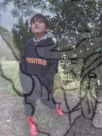 Original Objeto digital not accessible