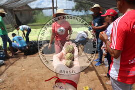 [Título n/d] : lote nº 002, pasta nº 000015, doc. nº 000028 [imagem] / Fotógrafo(a) : [autoria n/d].