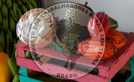 [Título n/d] : lote nº 002, pasta nº 001319, doc. nº 000113 [imagem] / Fotógrafo(a) : [autoria n/d].