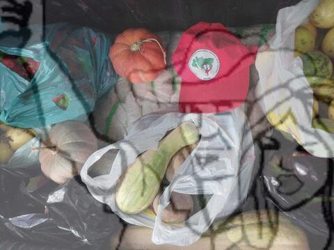 Original Objeto digital not accessible