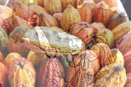 [Título n/d] : lote nº 002, pasta nº 001319, doc. nº 000102 [imagem] / Fotógrafo(a) : [autoria n/d].