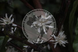 [Título n/d] : lote nº 002, pasta nº 001313, doc. nº 000043 [imagem] / Fotógrafo(a) : [autoria n/d].