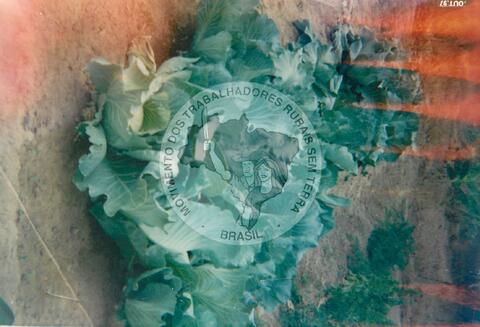 Original Digitaal object not accessible