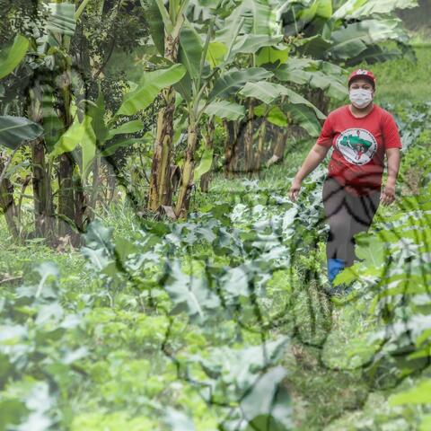 Original Objeto digital not accessible