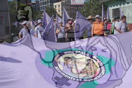 [Título n/d] : lote nº 002, pasta nº 000048, doc. nº 000012 [imagem] / Fotógrafo(a) : [autoria n/d].