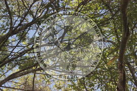 [Título n/d] : lote nº 002, pasta nº 000001, doc. nº 000208 [imagem] / Fotógrafo(a) : [autoria n/d].