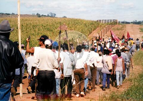 Original Document numérique not accessible