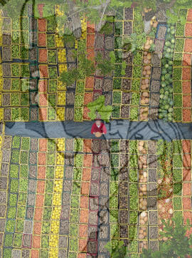 [Título n/d] : lote nº 002, pasta nº 001351, doc. nº 000496 [imagem] / Fotógrafo(a) : [autoria n/d].