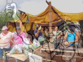 [Título n/d] : lote nº 002, pasta nº 001351, doc. nº 000277 [imagem] / Fotógrafo(a) : [autoria n/d].