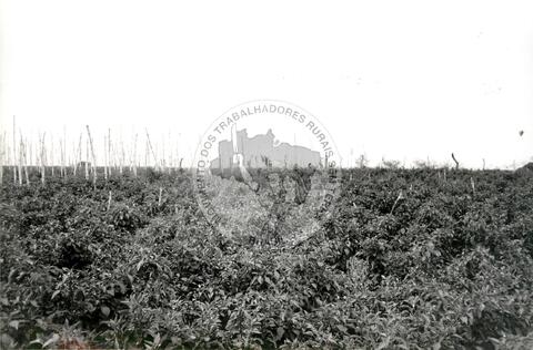 Original Document numérique not accessible