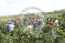 [Título n/d] : lote nº 002, pasta nº 001313, doc. nº 000036 [imagem] / Fotógrafo(a) : [autoria n/d].