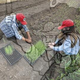 [Título n/d] : lote nº 002, pasta nº 001319, doc. nº 000146 [imagem] / Fotógrafo(a) : [autoria n/d].