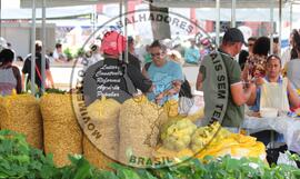 [Título n/d] : lote nº 002, pasta nº 001319, doc. nº 000034 [imagem] / Fotógrafo(a) : [autoria n/d].