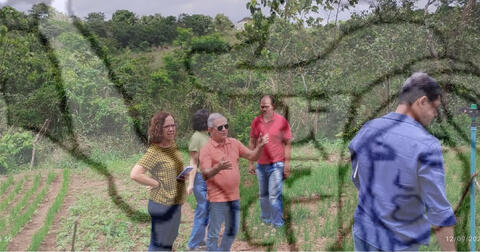 Original Objeto digital not accessible