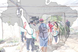 [Título n/d] : lote nº 002, pasta nº 001312, doc. nº 000343 [imagem] / Fotógrafo(a) : [autoria n/d].