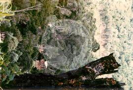 Assentamento "25 de Maio" do MST (Ponte Serrada-SC, fev. 1988) [fotografia] / Fotógrafo(a) : Arquivo MST. -- Ref.: BR-SPMST_MST-SN-CIN_AMP_000191-001370-ASS.