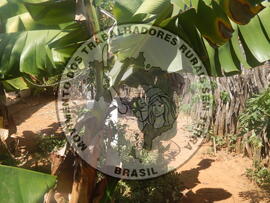 [Título n/d] : lote nº 002, pasta nº 001312, doc. nº 000025 [imagem] / Fotógrafo(a) : [autoria n/d].