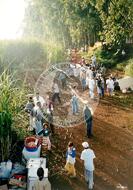 Acampamento " Nova Canudos" do MST (Porto Feliz-SP, 1999) [fotografia] / Fotógrafo(a) : Douglas Mansur. -- Ref.: BR-SPMST_MST-SN-CIN_AMP_000048-000407-ACP.