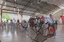 [Título n/d] : lote nº 002, pasta nº 001311, doc. nº 001657 [imagem] / Fotógrafo(a) : [autoria n/d].