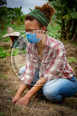 [Título n/d] : lote nº 002, pasta nº 001317, doc. nº 000043 [imagem] / Fotógrafo(a) : [autoria n/d].