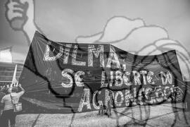 [Título n/d] : lote nº 002, pasta nº 001338, doc. nº 000037 [imagem] / Fotógrafo(a) : [autoria n/d].