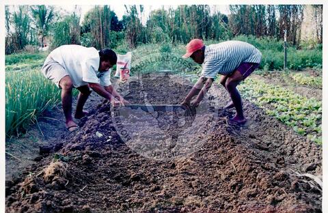 Original Document numérique not accessible