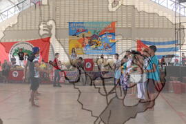 [Título n/d] : lote nº 002, pasta nº 001311, doc. nº 001752 [imagem] / Fotógrafo(a) : [autoria n/d].