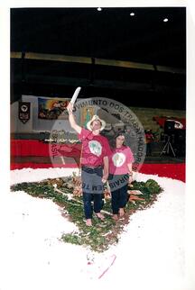 Original Digitaal object not accessible